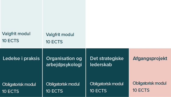 lederuddannelse | Få en akademiuddannelse her