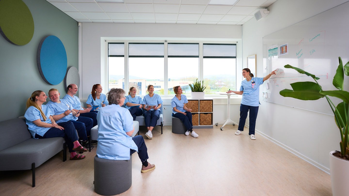 Sygeplejerske_&Oslash;vrige fag_1.jpg