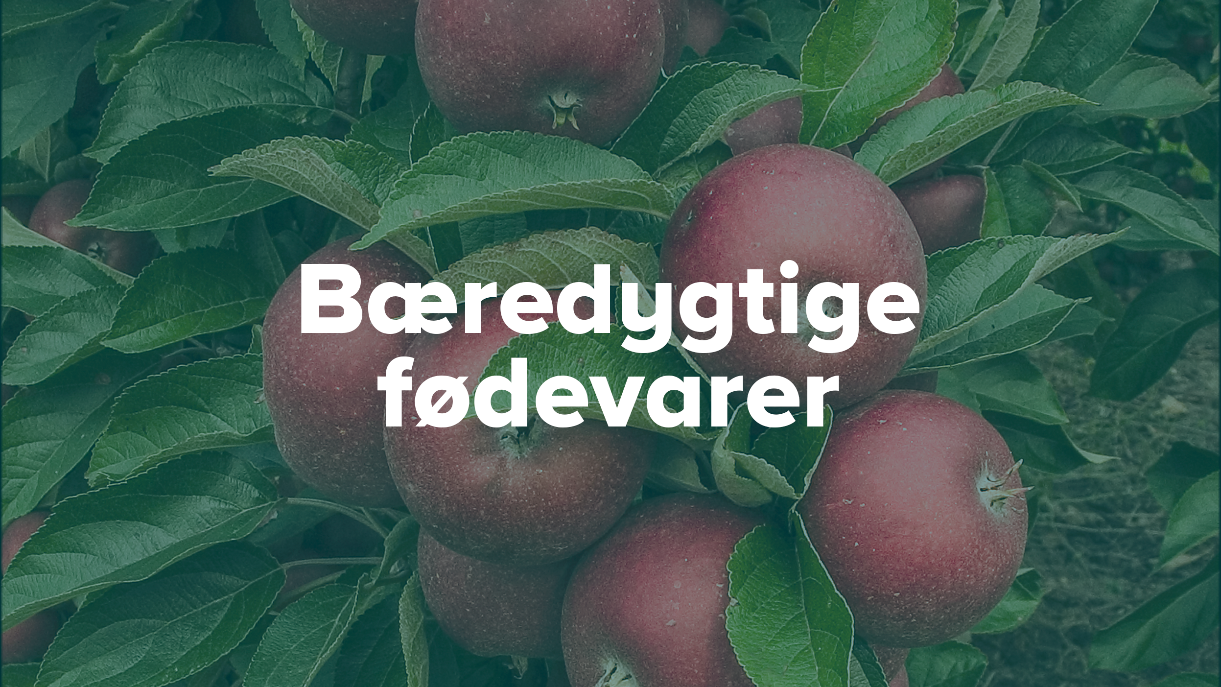 Bæredygtige fødevarer