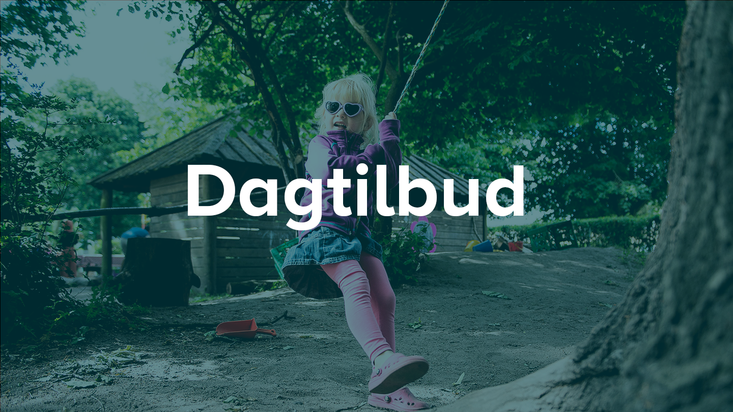 Dagtilbud - forskningssite