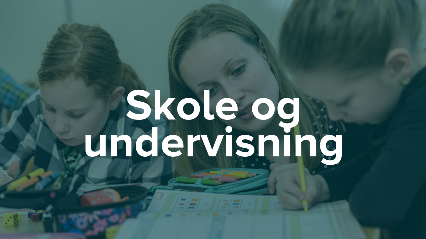 Link til siden Skole og undervisning - forskningssite