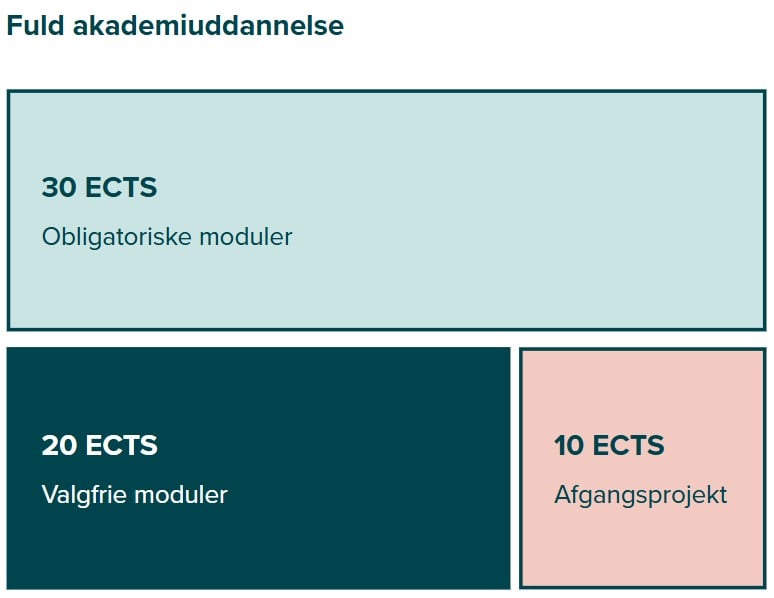 30 ECTS til obligatoriske moduler, 20 ECTS til valgfrie moduler, 10 ECTS til afgangsprojekt