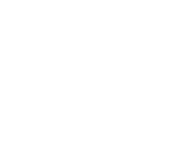UCL Erhvervsakademi og Professionshøjskole